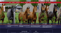Desktop Screenshot of picobellohorses.com